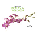 Beauty & Wellness 2012